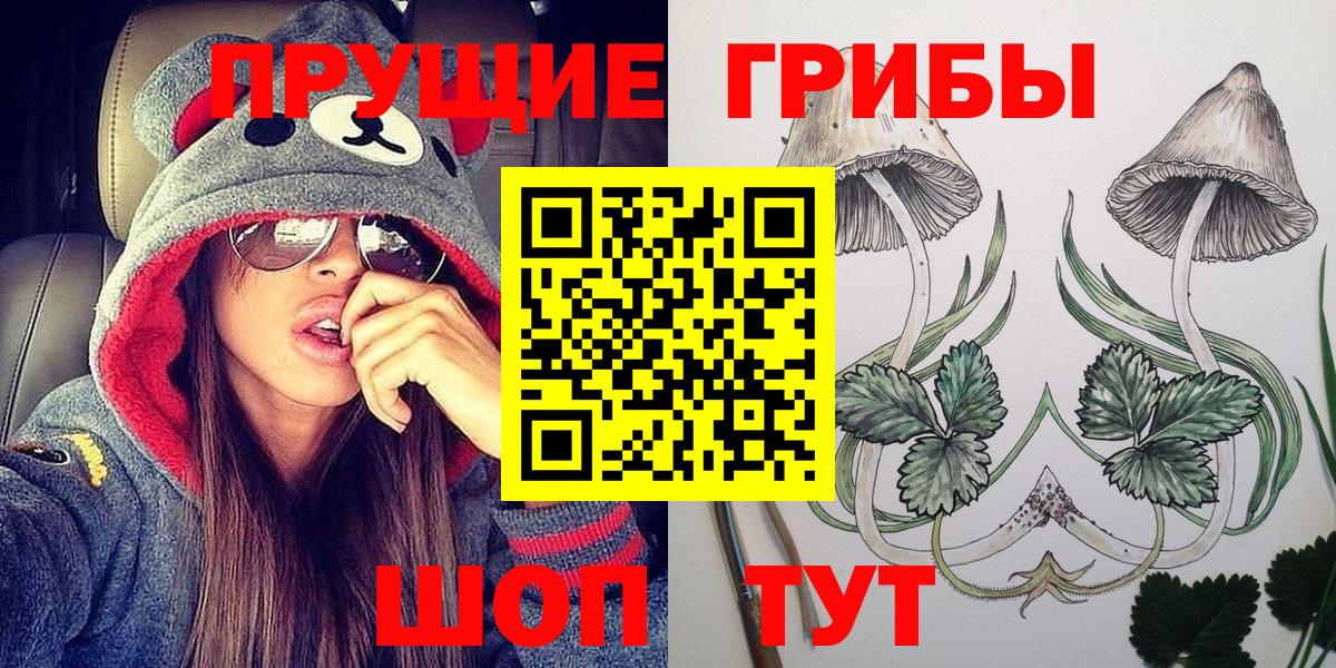 Псилоцибиновые грибы Краснотурьинск